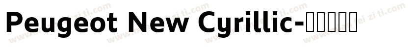 Peugeot New Cyrillic字体转换